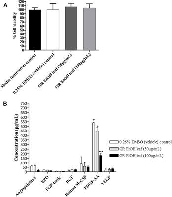 Evaluation of Wound Healing and Antibacterial Potential of Greyia radlkoferi Szyszyl. Ethanolic Leaf Extract